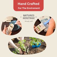 Natures Heritage 27 Variety Vegetable Seed Box